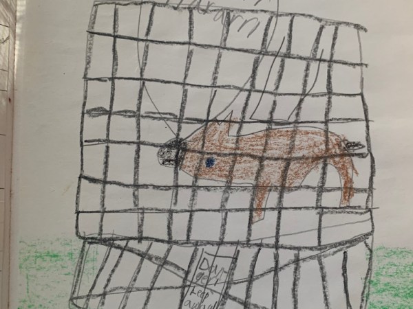 Questions from a writer to a&nbsp;listener