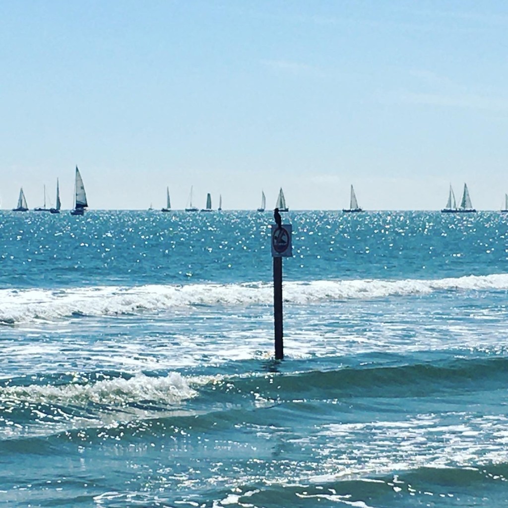 A bright sunny day, sailboats pepper the ocean from the beach and a bird in the foreground sits perched atop a no swimming sign near the shallows.