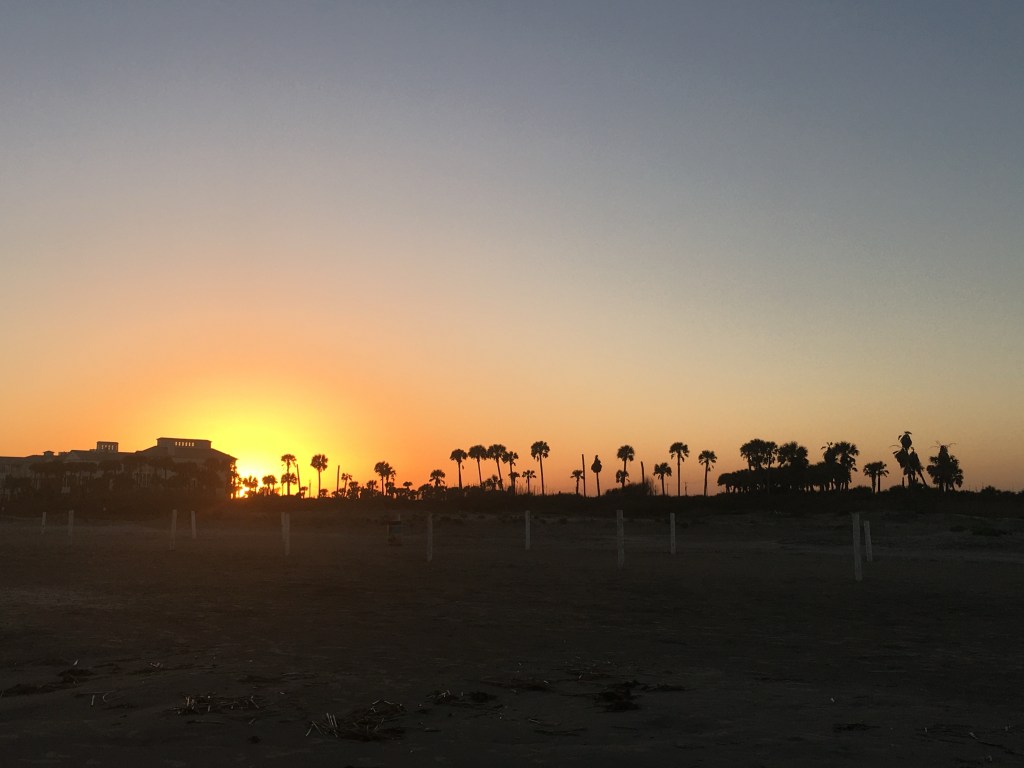 Sigh, yet another sunset, the camera stares straight into the sun, with far away buildings and very tall tiny toothpick palm trees in the distance appear black, silhouetted against the blaze.
